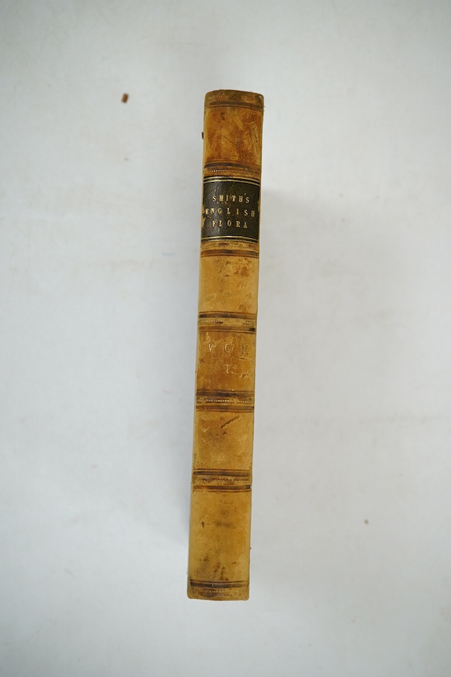 Smith, James Edward and Sowerby, James (illustrator) - English Botany; or, Coloured Figures of British Plants with their Essential Characters, Synonyms, and Places of Growth, 2nd edition, 7 vols (of 12), with 1407 hand-c